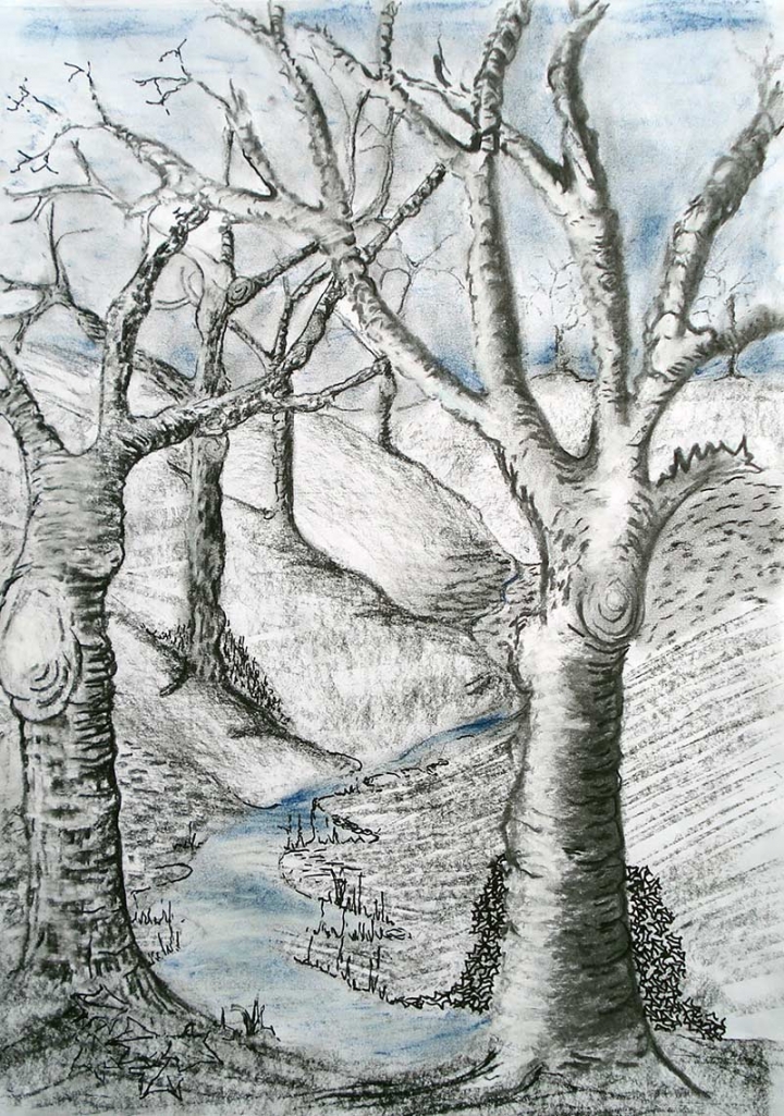 Woodland scene